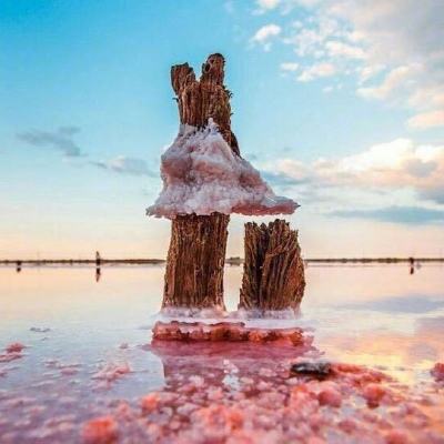 炸金花网络游戏截图